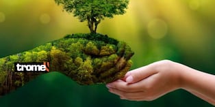 En el día del planeta conoce la naturaleza del mundo que habitamos. Foto: Istock