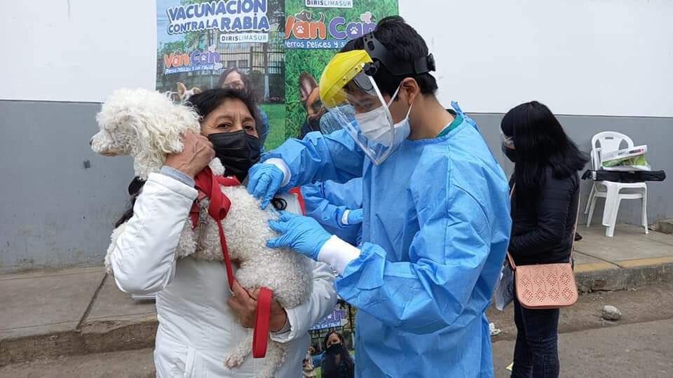 Para la vacunación al can, este debe tener más de 3 meses de vida y tiene que ser llevado por su dueño con una correa. Foto: Diris Lima Sur