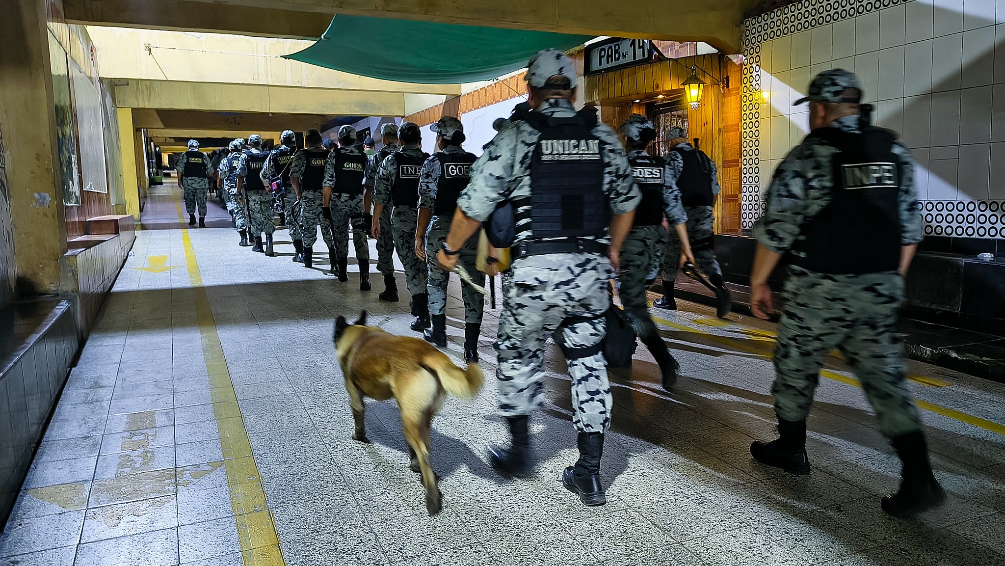 Agentes del INPE llevaron al can 'Lobo' en la intervención en la cárcel de Lurigancho. (INPE)