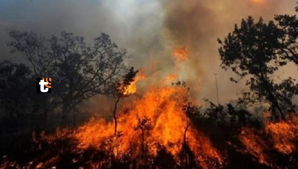 Dina Boluarte declara Estado de Emergencia tres regiones