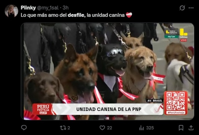 No pararás de reír con los memes más divertidos de la Gran Parada y Desfile Cívico Militar 2026. (Redes sociales)