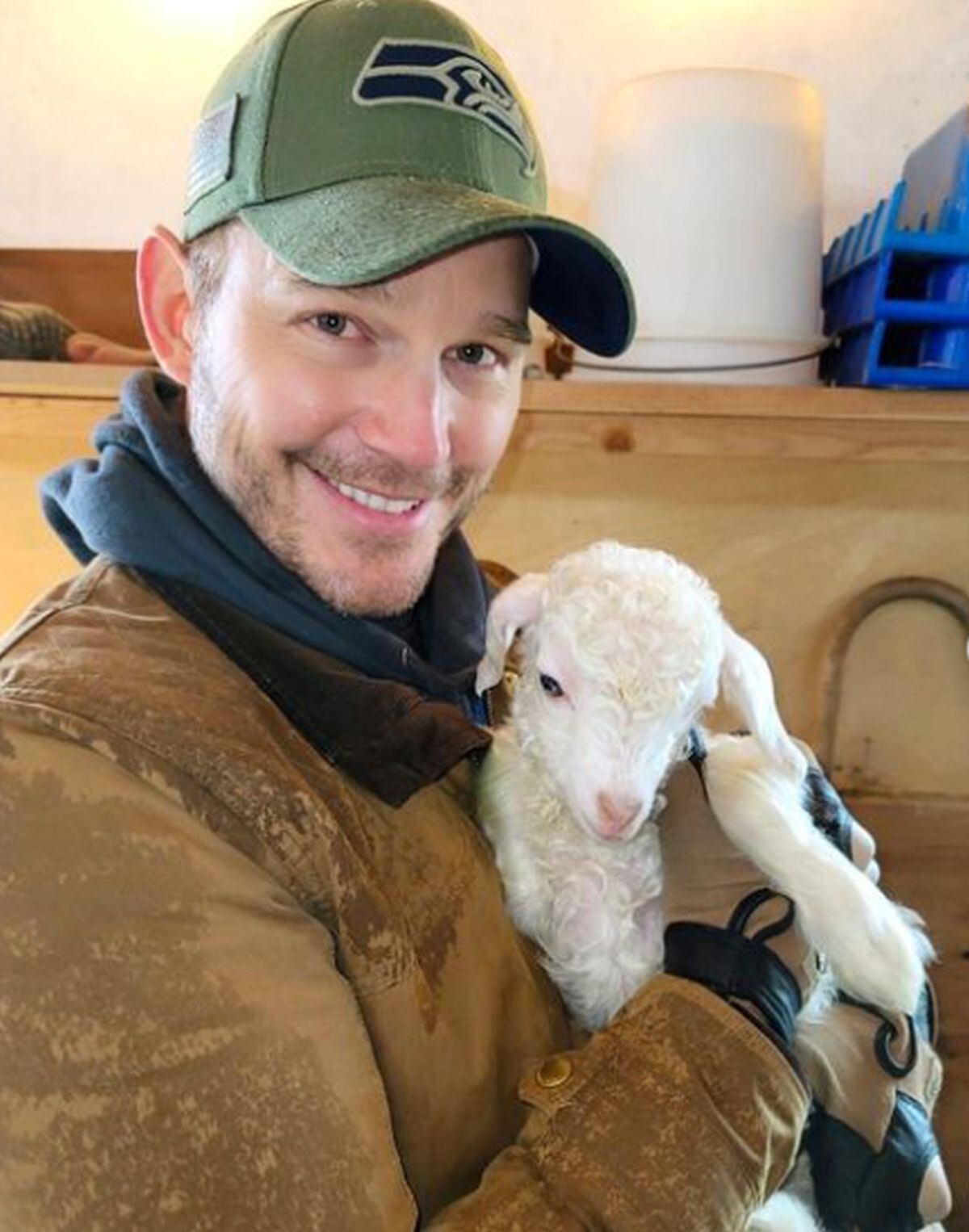 El actor Chris Pratt cargando a una de las ovejas que tiene en su granja (Foto: Robyn Beck / AFP)