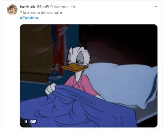 TROME | Temblor en Lima: Los memes tras el fuerte sismo y por qué no sonó la alerta de SISMATE (Foto: Twitter)