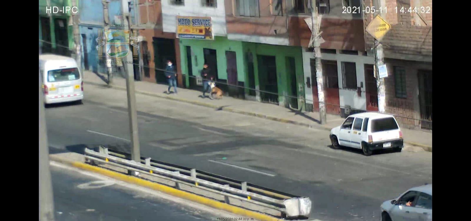 Ratero llevaba a su perro para robar y luego le dio una patada. (Secuencia, número 3).