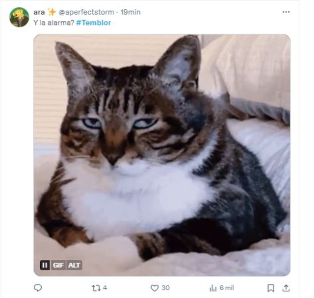 TROME | Temblor en Lima: Los memes tras el fuerte sismo y por qué no sonó la alerta de SISMATE (Foto: Twitter)