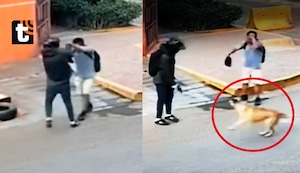 ¡Héroe de cuatro patas! Perrito se enfrenta a ladrón armado en Santa Anita y salva a joven de ser asaltado y acribillado