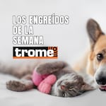 Conoce a las mascotas que alegran los hogares de nuestros lectores