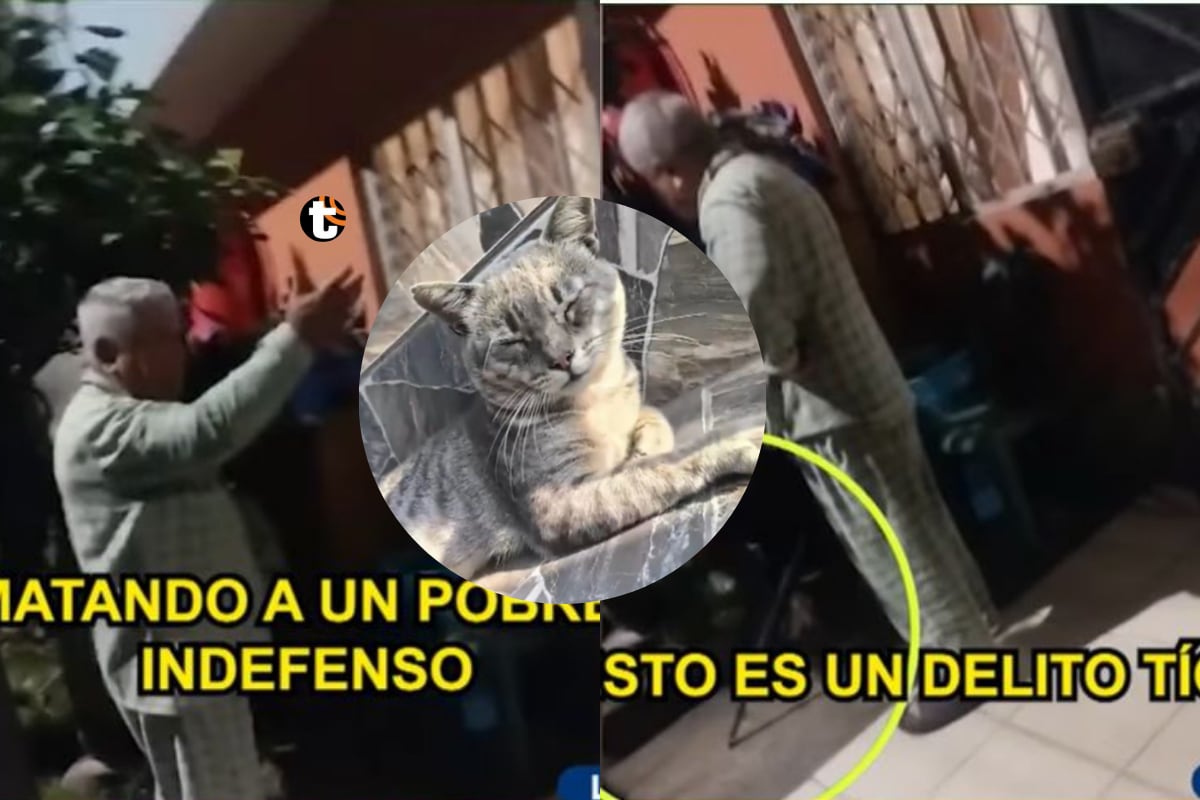 Hombre mata a palazos a gatito en La Victoria: vecinos piden que sujeto no sea liberado