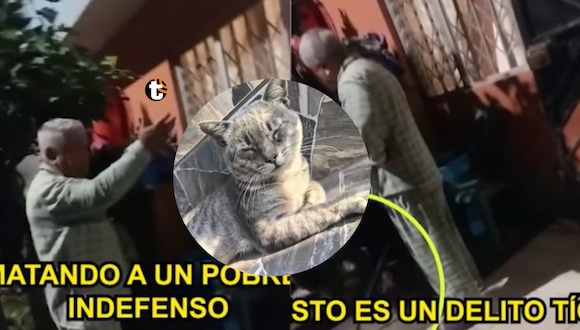 TROME | Hombre mata a palazos a gatito en La Victoria. Video: Panamericana