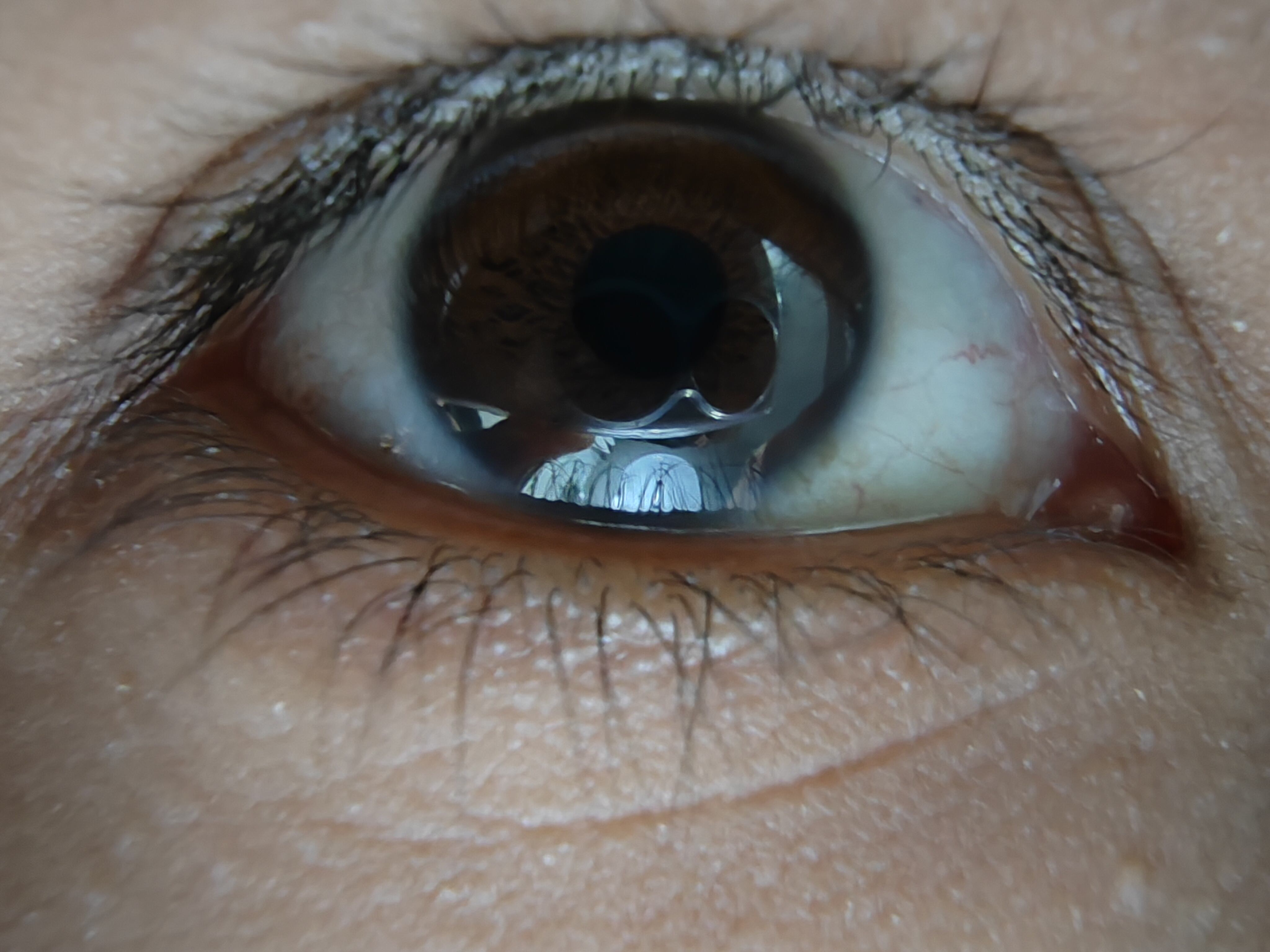 Samsung Galaxy Z Flip 4.