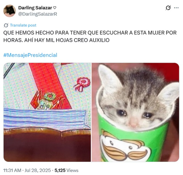 Usuarios crean divertidos memes por el extenso discurso de Dina Boluarte.