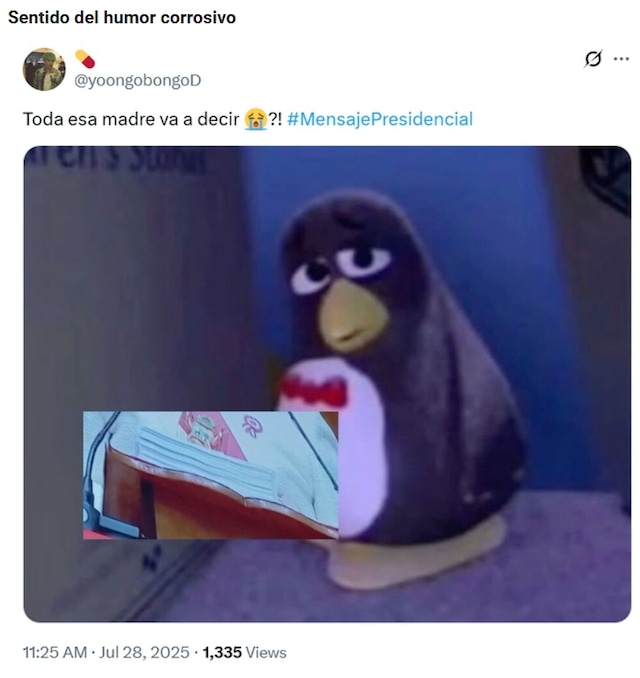 Usuarios crean divertidos memes por el extenso discurso de Dina Boluarte.