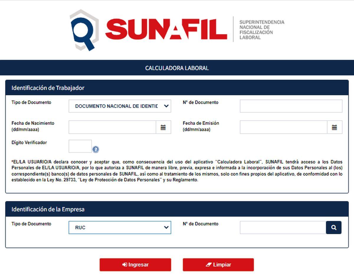 Cada vez completes algunos datos, se abrirán más casillas que debes responder (Foto: Sunafil)