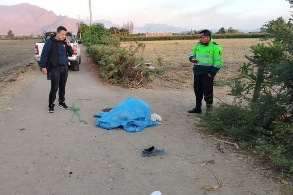 Stefany Portilla es hallada por vecinos en terreno descampado (Foto: @ozonotv)