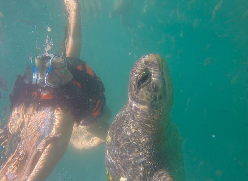 Kyara Villanella comparte viaje con nietas de Gisela Valcárcel. Foto: Instagram