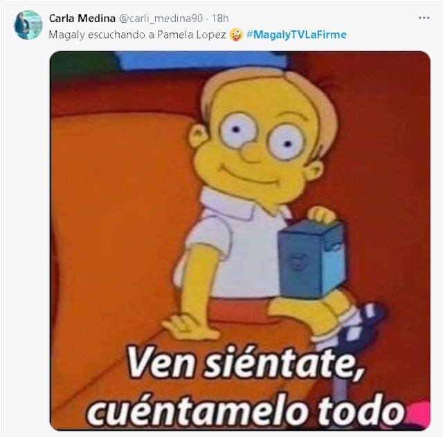 No pararás de reir con los memes de las declaraciones de Pamela López sobre lo que le contó Christian Domínguez en MagalyTv. (Twitter)