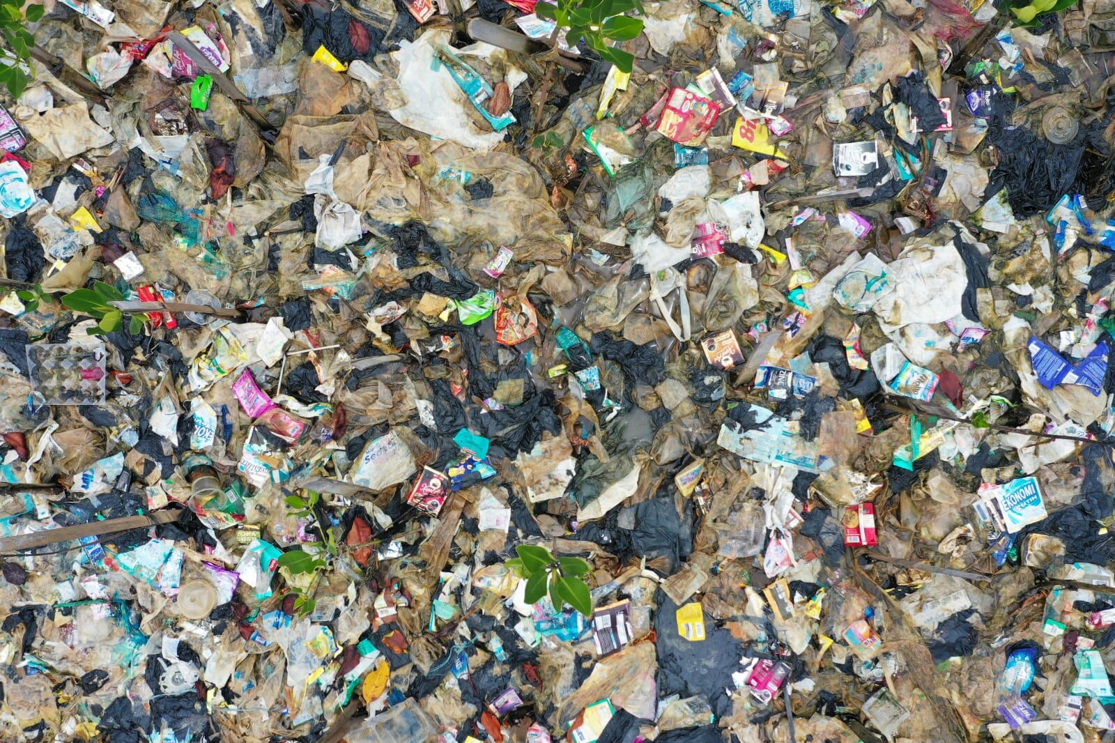 Según el estudio encargado por WWF y Plastic Free Foundation, en América Latina, un 90% de los ciudadanos encuestados de Perú, Argentina, Brasil, Chile, Colombia y México, apoya la prohibición del uso de productos químicos peligrosos en los plásticos.