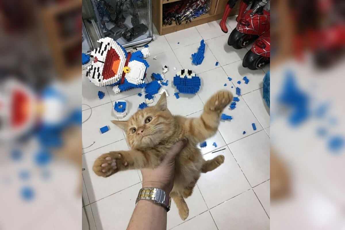 El joven se tardó varias semanas en armar este personaje (Foto: Facebook)