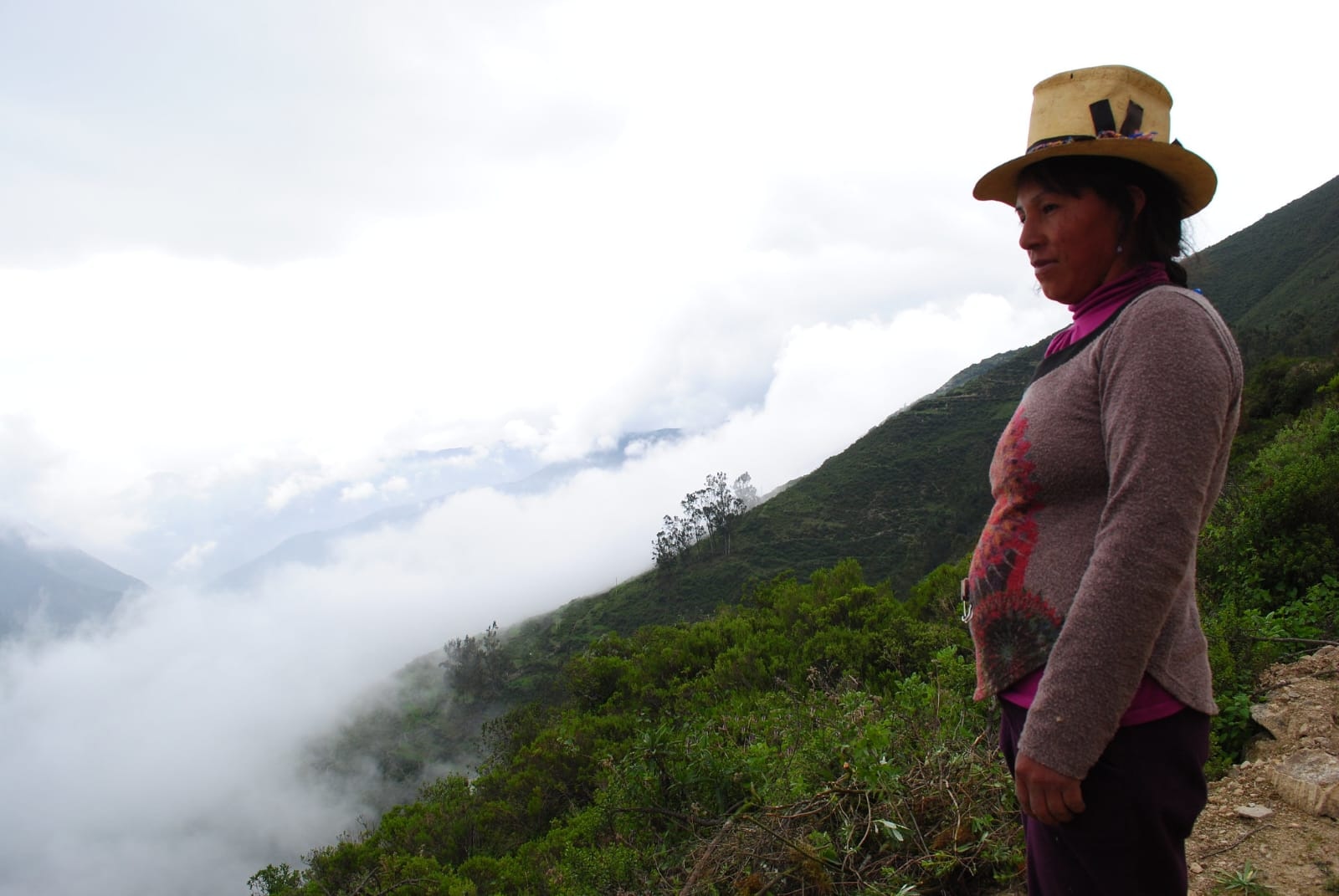 Los ecosistemas por recuperar son los bosques relictos, matorral andino, y pajonal de puna, en un área total de alrededor de tres mil hectáreas.