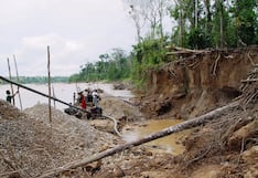Minería ilegal arrasa con bosques