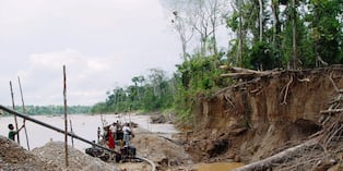 Minería ilegal arrasa con bosques