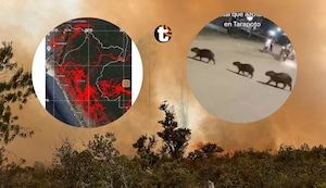 ¡EL PERÚ ARDE! Más de 10 fallecidos por incendios forestales y captan a capibaras huyendo del fuego