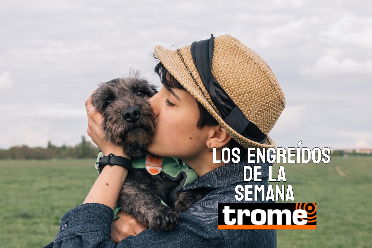 Engreídos Trome de la semana. Foto: composición/Istock