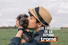 Peluditos con estilo: estos son los nuevos engreídos Trome que alegran la semana