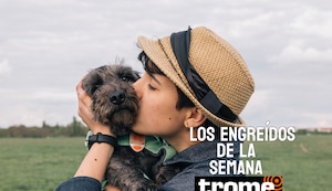 Peluditos con estilo: estos son los nuevos engreídos Trome que alegran la semana