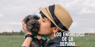 Engreídos Trome de la semana. Foto: composición/Istock
