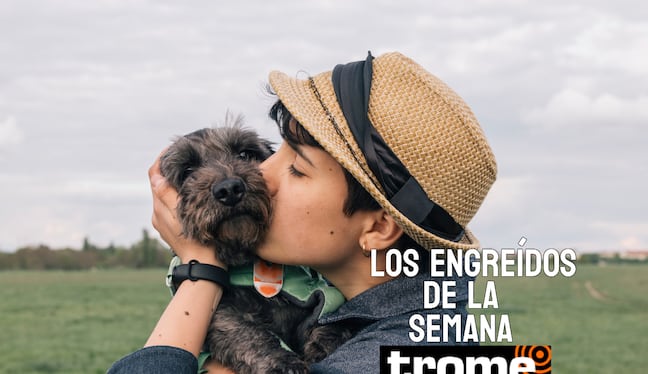 Engreídos Trome de la semana. Foto: composición/Istock