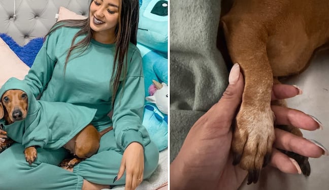 “No tienes idea el dolor que me dejas”: Xiomy Kanashiro anuncia la dura pérdida de su mascota