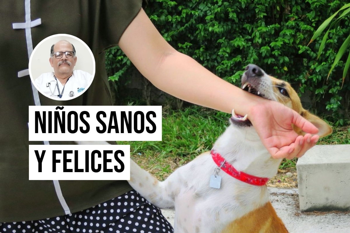 El pediatra Chacón explica qué debes hacer si un perro muerde a tu hijo. Foto: Istock.