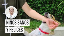 ¿Un perro mordió a tu hijo? Esto debes hacer inmediatamente