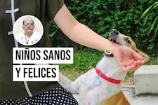 ¿Un perro mordió a tu hijo? Esto debes hacer inmediatamente