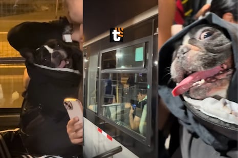 ¡Indignación en Navidad! Pasajero es obligado a bajarse del Metropolitano por subir con su perrito