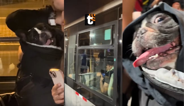 TROME - Joven es obligado a bajarse junto con su perrito del bus.