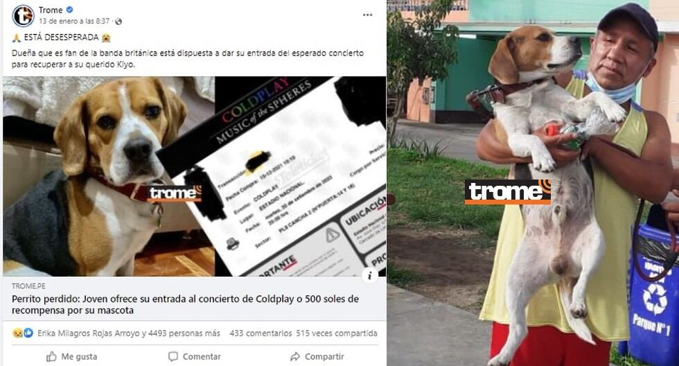 Familia en San Martín de Porres recuperó a su perrito Kiyo. Estaba perdido, ofrecían entrada al concierto de Coldplay como recompensa por su mascota (Compos. Trome / Isabel Medina)