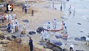 Derrame de petróleo en Piura: Fiscalía abre investigación a Petroperú por contaminación ambiental