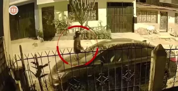 Cámaras captaron al asesino siguiendo a su víctima para robarle. Foto: América noticias