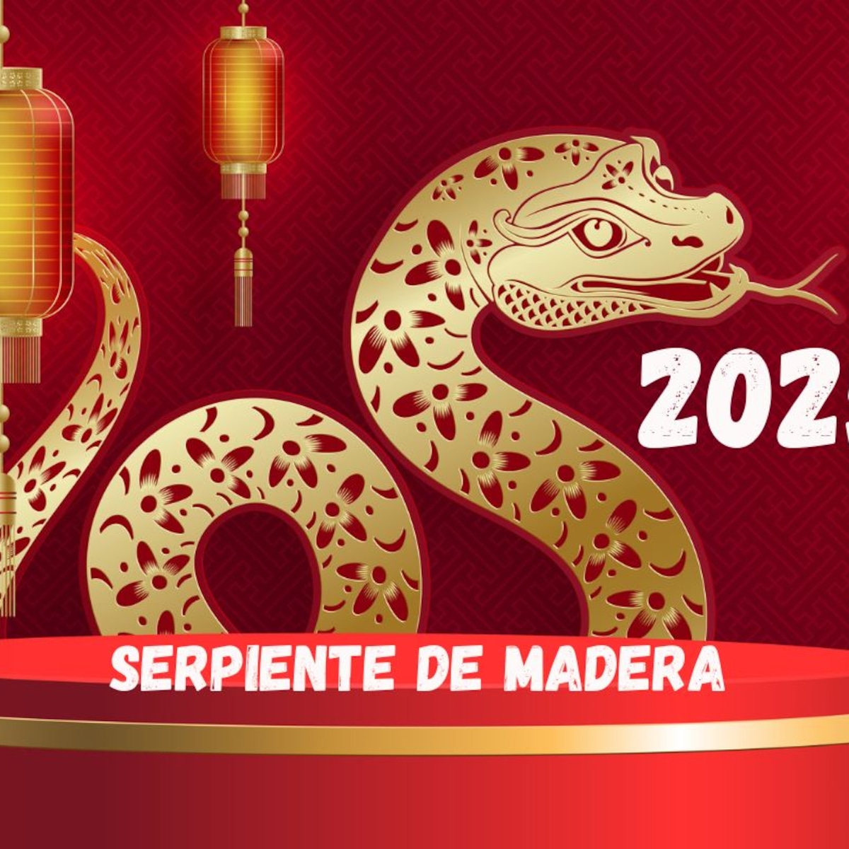 Transformación y Purificación