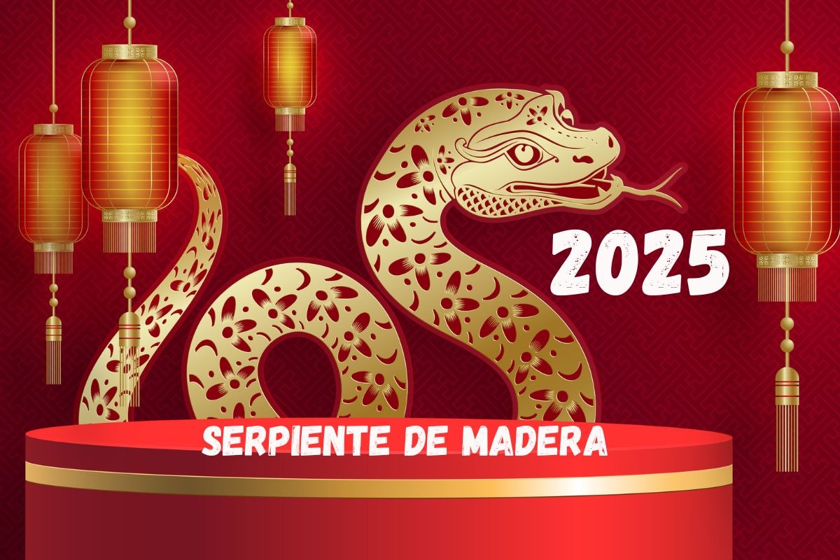 Este 2025 llega el año de la serpiente de madera. Foto: Composición / iStock.