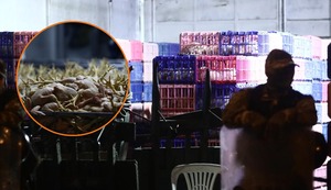 Cercado de Lima: Policía intervino matadero clandestino e insalubre de aves