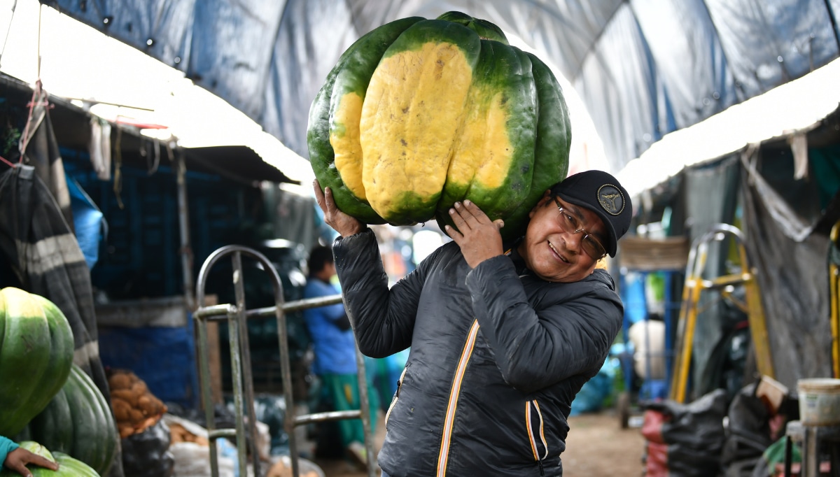 Padre ejemplar sacó adelante a sus siete hijos, cinco son profesionales