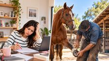 Mundo Escolar: ¿Errar o herrar? Conoce el significado y uso de cada palabra