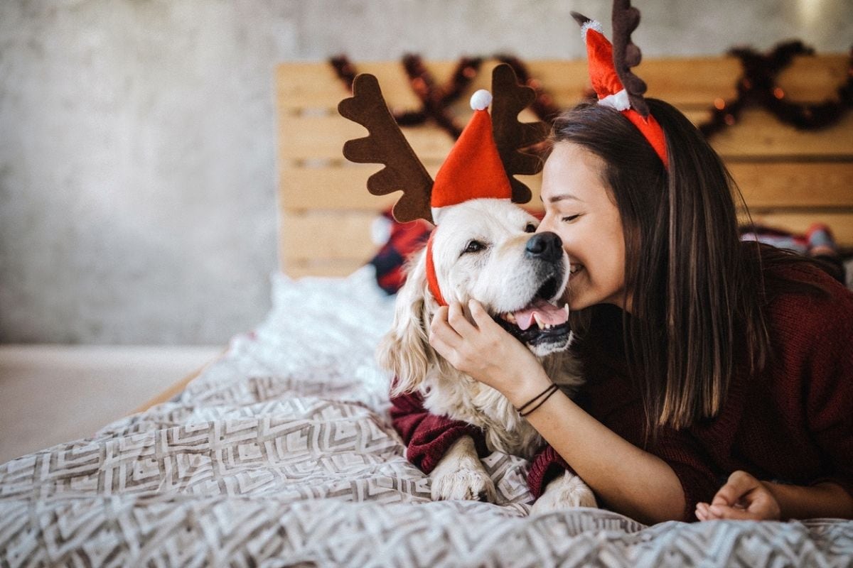 Cuida a tu perrito. Foto: Istock.