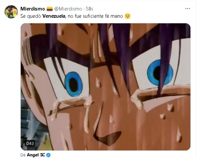 Memes Venezuela - Canadá