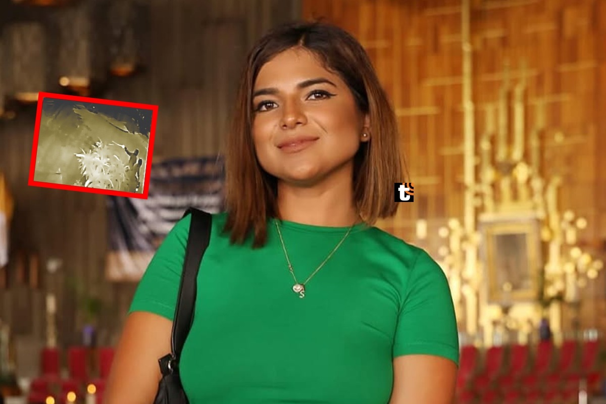 Susana Alvarado: buscan a delincuentes que balearon su casa