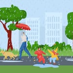 Mundo Escolar: ¿En qué se diferencian la lluvia y la llovizna?