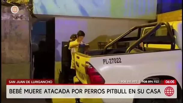 Bebé muere por ataque de pitbull en San Juan de Lurigancho. Foto: América noticias